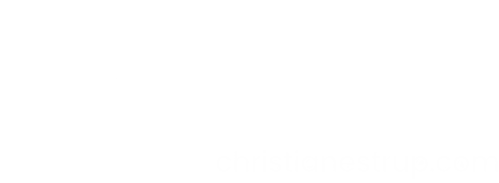 Christian Estrup ikon