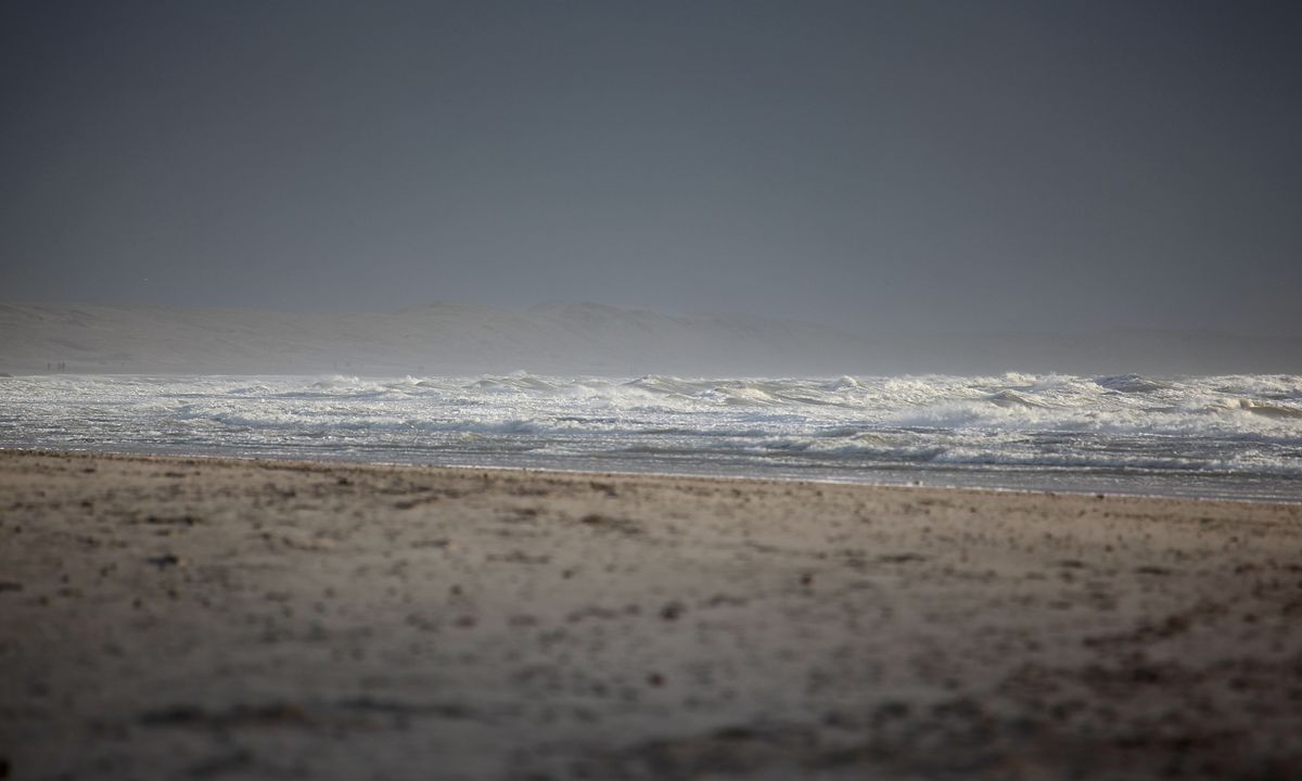 Beachcombing