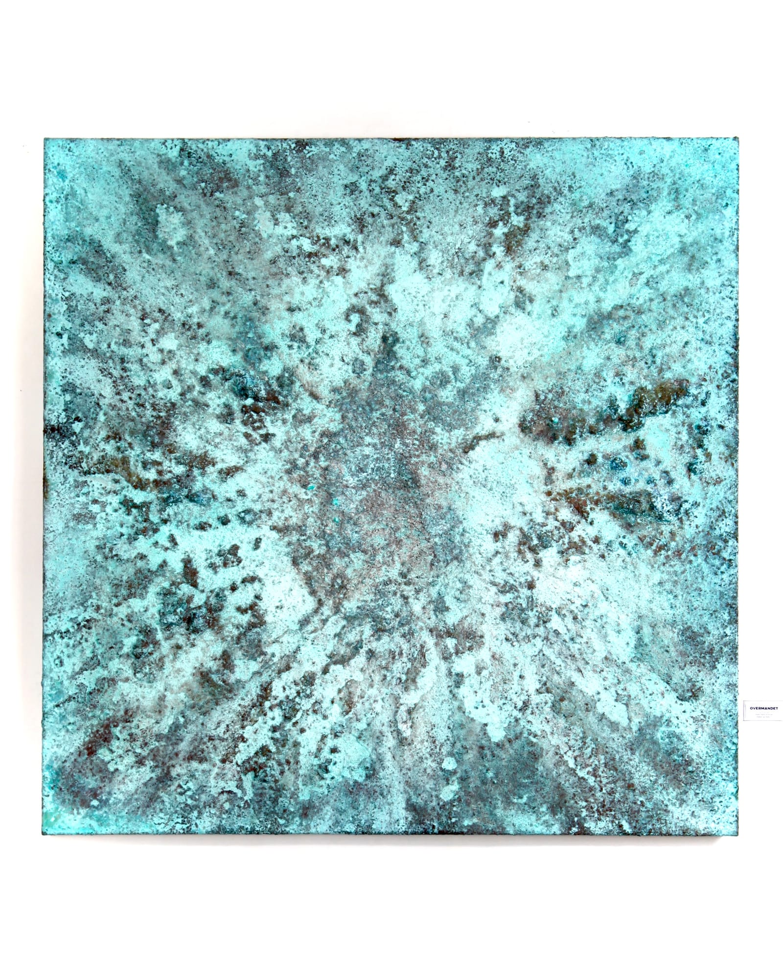 Overmandet indlægsbillede