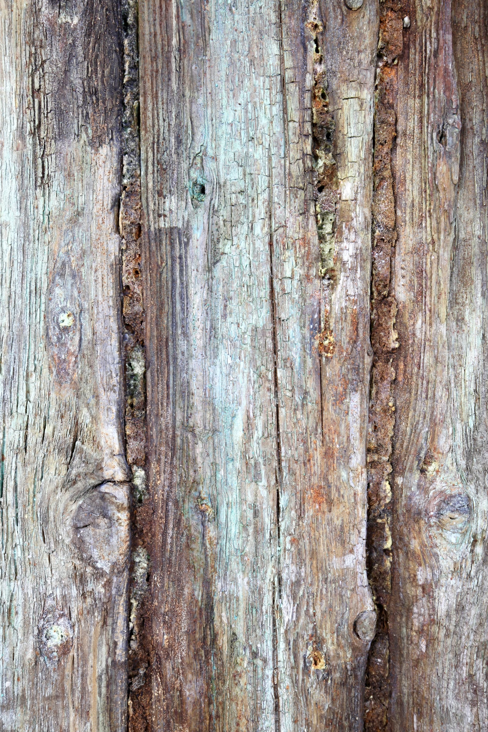 Genanvendt træ page feature image