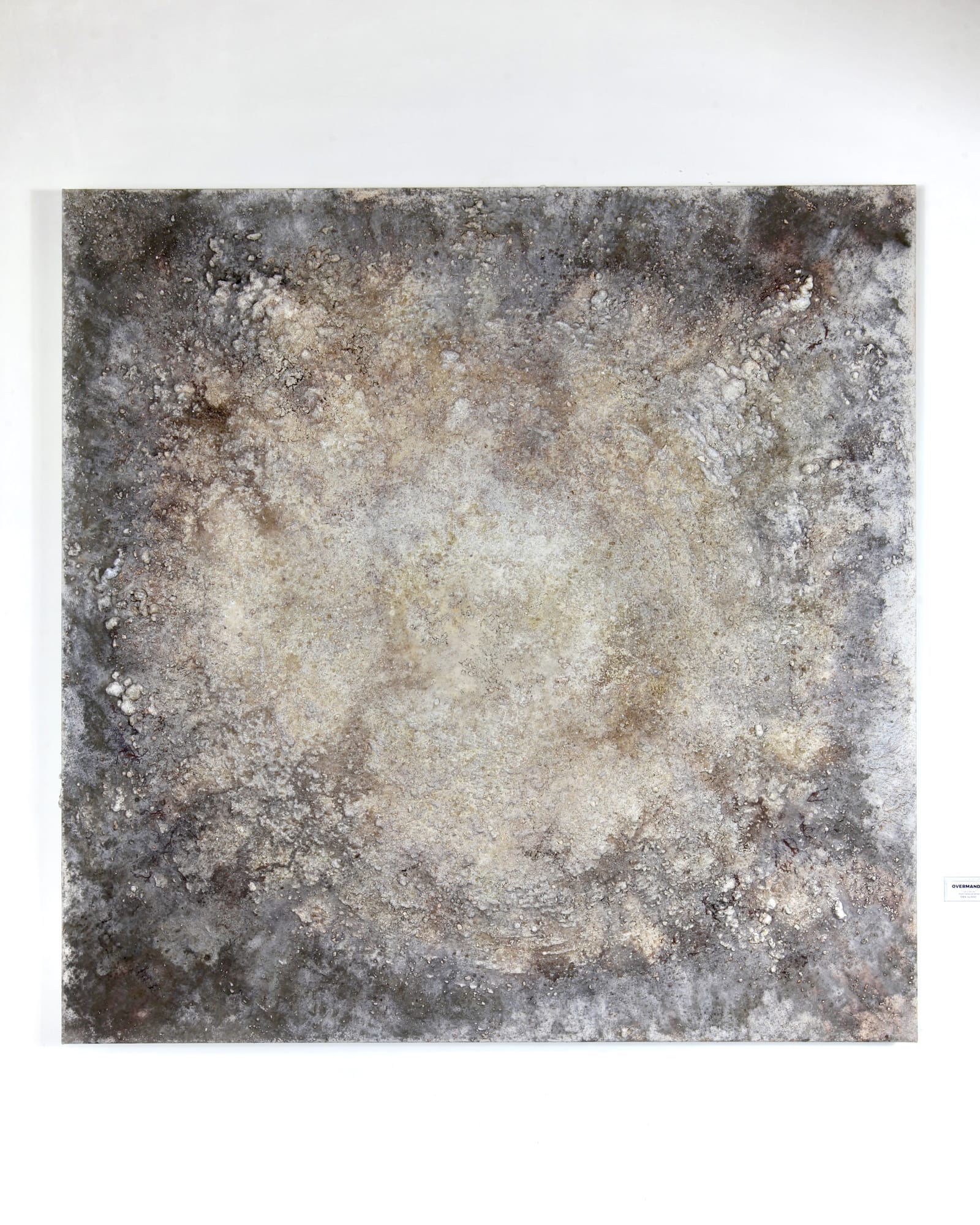 Zen, sagde du? indlægsbillede