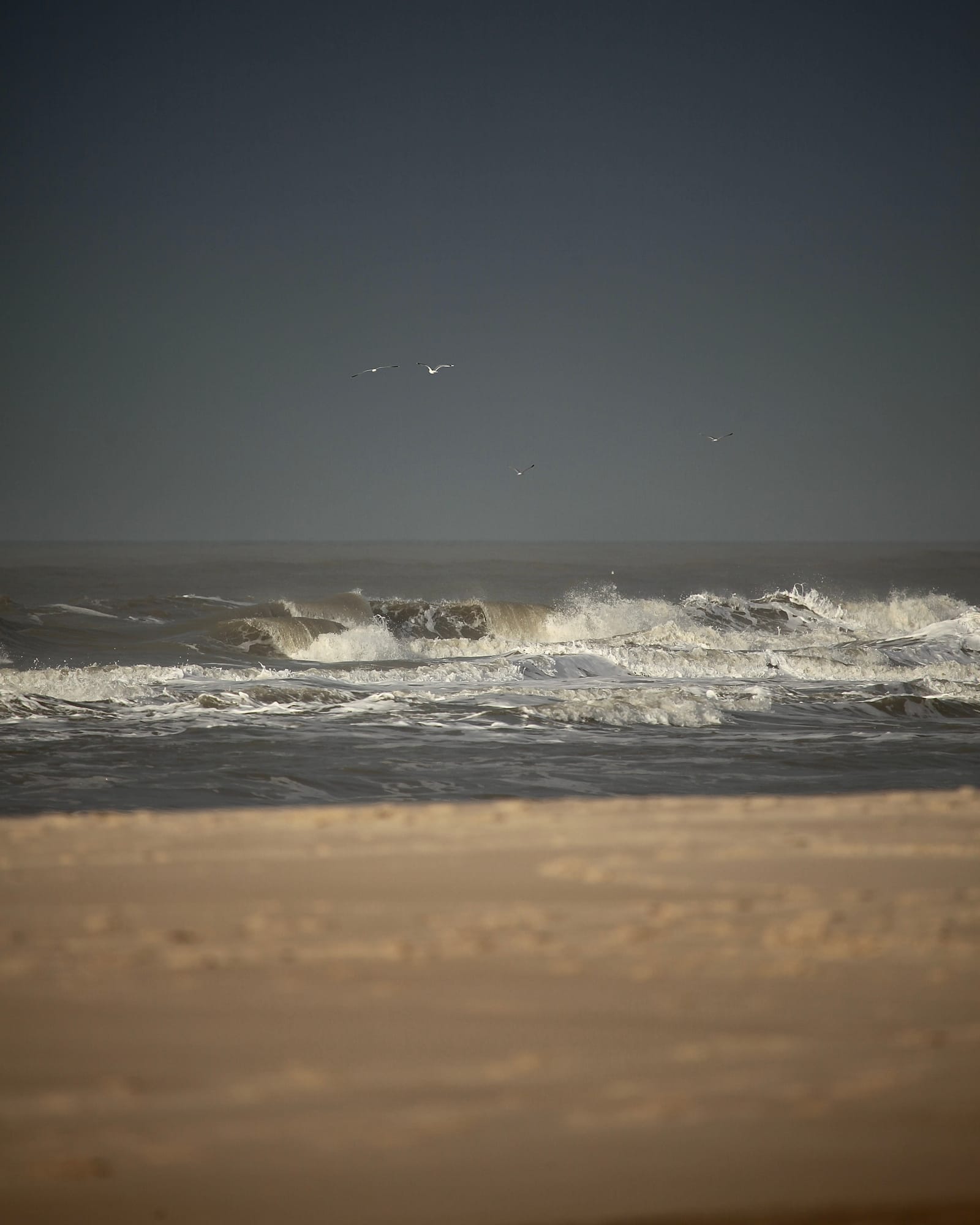 Blogindlæg page feature image