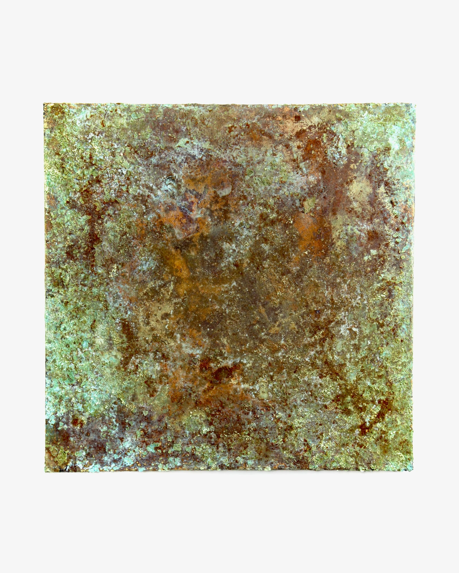 Partikulær leg II indlægsbillede