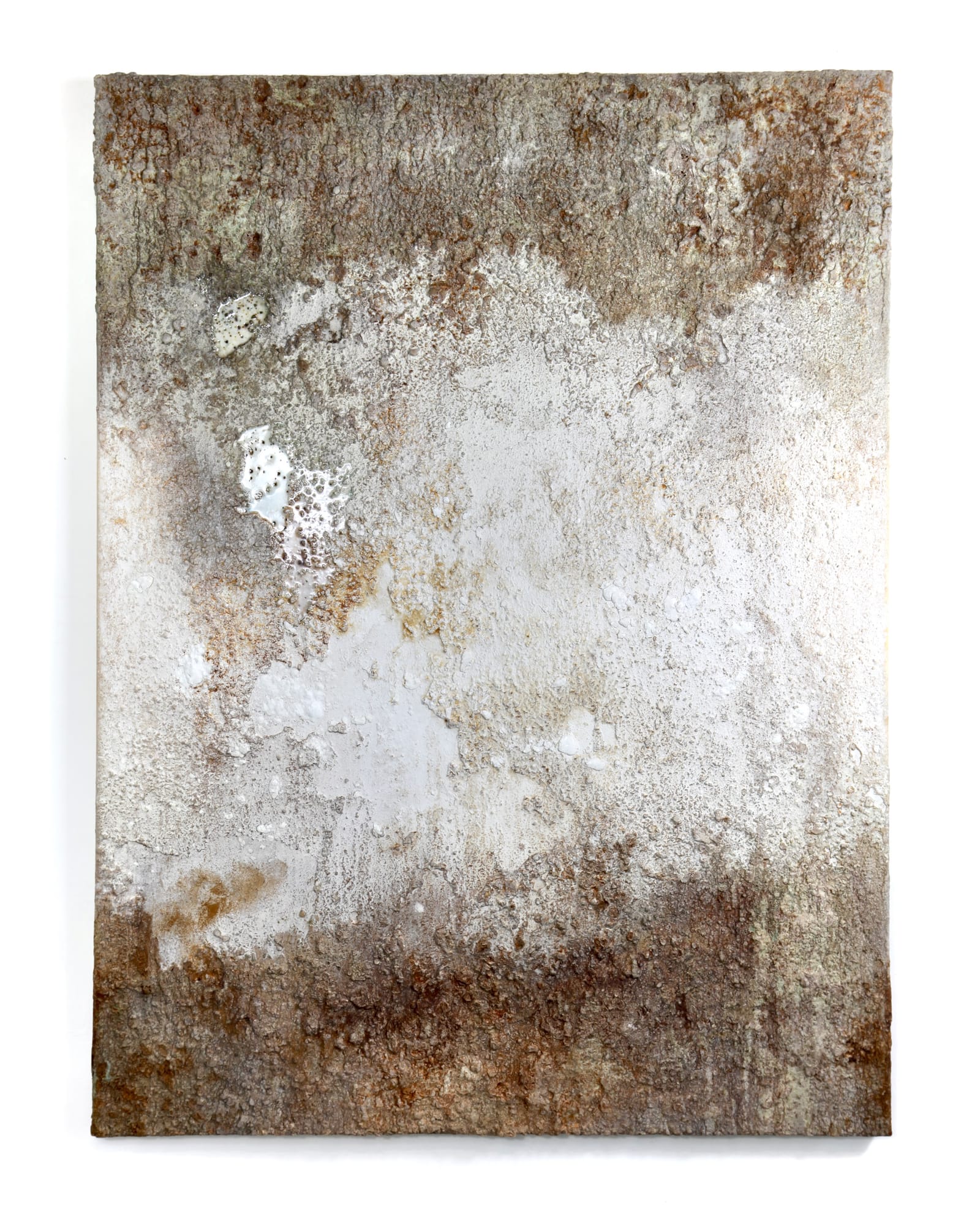 Memento mori (café au lait) indlægsbillede