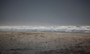 Beachcombing post feature image