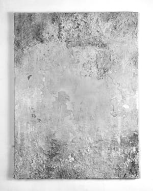 Memento mori (kalkhvid) featurebillede