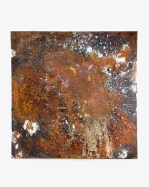 7. november featurebillede