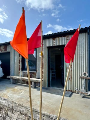 Ingen spotter et flag, der ikke er ude featurebillede